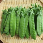 絹さやのイメージ