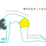 キャット＆カウ