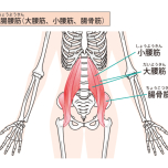 内転筋