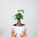 Photo by feey on Unsplash 