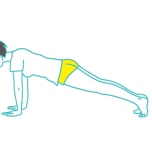 プランクポーズ