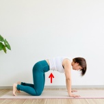 お腹凹ませ体操