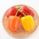 パプリカのイメージ