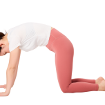 ほぐす・伸ばす・鍛えるで引き締める「美筋ヨガ」