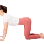 ほぐす・伸ばす・鍛えるで引き締める「美筋ヨガ」