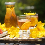 鎌田陽子/レモンルイボスティ