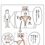 『こどもせいきょういくはじめます』（KADOKAWA）より