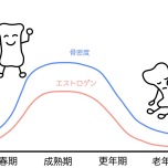 骨代謝と年齢
