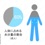体内水分率