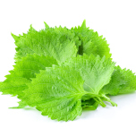 しそのイメージ