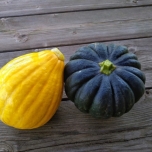 かぼちゃのイメージ