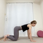 四つ這いの姿勢