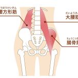 腸腰筋
