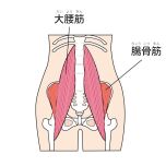 腸腰筋