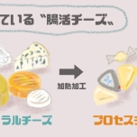 ナチュラルチーズとプロセスチーズの違い