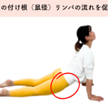 鼠径リンパストレッチ