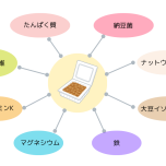 納豆の栄養