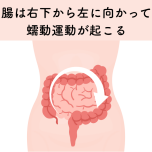 整腸ヨガ_伊藤香奈