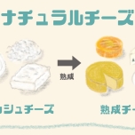 フレッシュチーズ