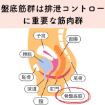 骨盤底筋群_伊藤香奈
