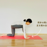 トカゲのポーズ