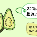 アボカドイラスト