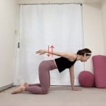 四つ這いから脇を締めて左腕を後ろに伸ばし、上下に動かす二の腕引き締めエクササイズ