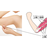 二の腕痩せ
