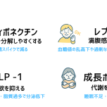 瘦せホルモンのイラスト