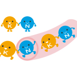 電解質のイラスト