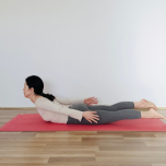 バッタのポーズ