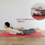 バッタのポーズ