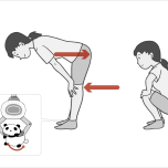 膝は前へ、お尻は後ろへ向かい、それに伴って足首も動く