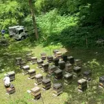 国産で唯一の唯一の有機はちみつ