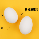 卵の取り入れ方