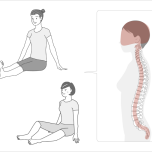 脊椎は緩やかなカープを描いていて、頭はその脊椎の上に乗っている。そして頭は脊椎の上で自由に動けて、それに伴って脊椎も常にバランスをとって動いている