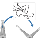 膝が緩んで、あぐらのように膝から外に開き、それから膝が伸びる