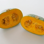 かぼちゃのイメージ