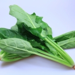 ほうれん草のイメージ