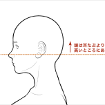 頭は耳たぶよりも高いところにある