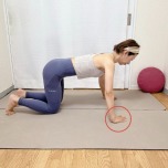 手を肩幅の1.5倍程度に開き、指先を内側にした四つ這いの体勢