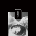 『わたしが選んだ死産の話』（KADOKAWA）より