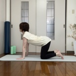 キャットアンドカウ