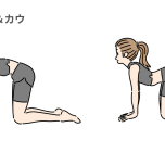 キャット＆カウ　イラスト