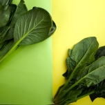 ほうれん草と小松菜