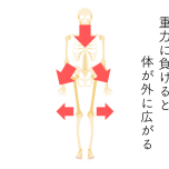 重力に押される体のイメージ