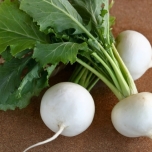 かぶのイメージ