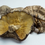 干ししいたけのイメージ