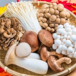 きのこ盛り合わせ