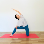 門のポーズバリエーション